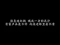 淋雨一直走 张韶涵 (歌词版)