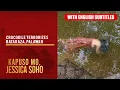 Crocodile terrorizes Bataraza, Palawan (with English subs) | Kapuso Mo, Jessica Soho