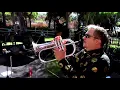 'Comfort Zone': Gabriel Mark Hasselbach @ Algarve Smooth Jazz Festival
