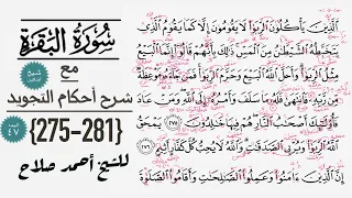 كيف تقرأ سورة البقره مع شرح أحكام التجويد 275 281 