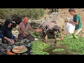 Download Lagu Nomadic life in the heart of cold nature | A pleasant and family day