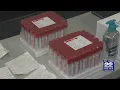 PCR Tests vs Rapid Tests What s the difference