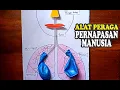 Download Lagu CARA MEMBUAT ALAT PERAGA PERNAPASAN MANUSIA SEDERHANA / HOW TO MAKE SIMPLE HUMAN RESPIRATORY TOOLS