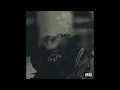 Offset, Gunna - Different Species (Best Clean Version)