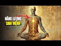 Download Lagu Không Ai Nói Cho Bạn Biết: Cách Kích Hoạt Năng Lượng Sinh Mệnh!