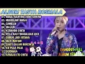 Download Lagu TANPA IKLAN BAGAI RANTING YANG KERING, CAMELIA - TASYA ROSMALA FULL ALBUM TERBARU 2025