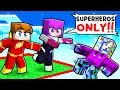 ONE BLOCK But We re SUPERHEROES in Minecraft