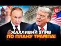😮Путін ШОКУВАВ ПЛАНОМ по Україні і США! Москва ЖОРСТКО ПІДСТАВИЛА Трампа. Білий дім цього НЕ ПОМІТИВ