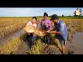 Download Lagu Cùng Cha Mẹ Vợ nửa đêm xem Ghe Vịt Chạy đồng ở Nhà Phan Diễm lụm trứng Vịt ăn toàn món ngon Miền Tây
