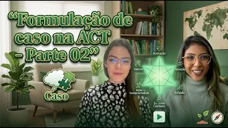 Vídeo 13 - O hexaflex na formulação de caso