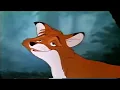 Download Lagu The Fox And The Hound: Adult Tod (1981) (VHS Capture) (1)