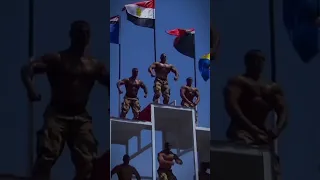 من بلد الفراعنه 