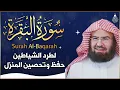Download Lagu سورة البقرة (كاملة) للشيخ عبد الرحمن السديس لحفظ وتحصين المنزل وجلب البركة تلاوة هادئة Sourah Baqara