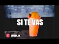 SI TE VAS - KARTIEL ✘ DJ ALEX [FIESTERO REMIX] #RECUERDOS