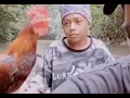 CHOKING THE CHICKEN WHILE IT CROWS MEME
