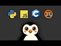 I Rewrote the Same App in C Rust Python and JS