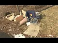 West Springfield resident concerned over growing pile of trash on Bridge Street