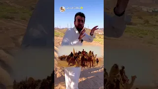 قصة معركة بدر 