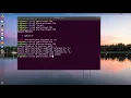 Programming Bisection and Newton s method