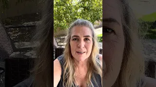 What S Happening At The Homestead Shorts Offgrid Westtexas Shedtohouse Vanlife  What S Happening At The Homestead Shorts Offgrid Westtexas Shedtohouse Vanlife