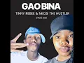 Gao Bina ft Nkosi The Hustler( Visualizer )