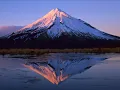 I Will Always Come Back-Taranaki, David Grace