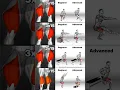 Leg Workouts for ALL Levels: Beginner to Advanced Training!