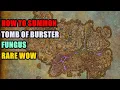 Download Lagu How to summon Tomb Burster (Fungus) Rare WoW
