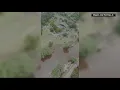 Download Lagu Deadly Texas floods: Chopper video shows devastation at Camp Mystic