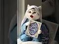 Cute Cat Recites Sholawat Peacefully 🐱✨ | Heartwarming AI Cat Moment #turkishcat #cat #funny #cute