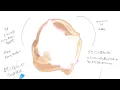 【1hour focus sound】handmade meditation music with piano, cello, synth&fragrance-inspired soundscape