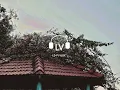 Rozaana - Akshath (Lyrics)| LOFI VLOX