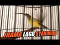 Download Lagu MASTERAN PIJANTUNG PISANG KONSLET DURASI PANJANG UNTUK ISIAN CUCAK IJO
