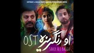 OST - O Rangreza (Rangreza - Sahir Ali Bagga) HUM TV Drama Melodious Full Love Song