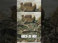 Download Lagu Lo Que NADIE Te Contó del Arca de Noe 😲 #shorts