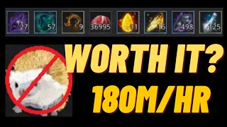 BDO Is HEDGEHOG Worth it 850m per Day Meat gathering Hedgehog