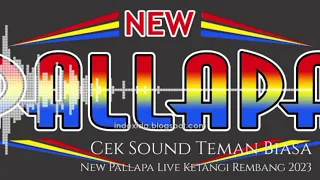 Download CEK SOUND TEMAN BIASA - NEW PALLAPA LIVE KETANGI REMBANG 2023 MP3