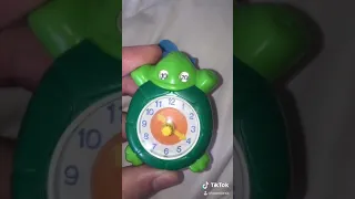 Time Telling Turtle Toy