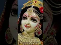 Download Lagu Agar Mera Radha Radha kaho to kya milane aaoge# Vaishali Goutam#