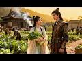 Download Lagu 【IndoSub】Kembali ke zaman kuno, aku jadi kaya raya gara-gara sistem jual bumbu seafood!#minidrama