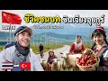 Download Lagu DAY16 ปั่นจักรยานไปแต่งงาน เส้นทางชนบท ซินเจียงอุยกูร์ | Bike To Marry