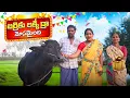 Lagu బర్రెకు లక్కీ డ్రా||మోసమైంది||బర్రెను అమ్మితే||my village comedy||dhoom dhaam channel
