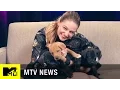 Supergirl Star Melissa Benoist Takes Our Super Puppy Challenge MTV News