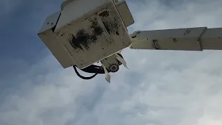                                     دندنها
