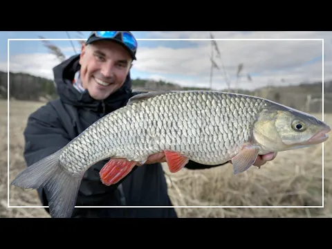 Wiosenne klenie na chleb