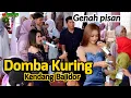 Download Lagu Domba Kuring //Tarompet Bajidor//Mpit Vitri//Azka project live show Cibeureum-Sumedang