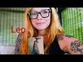 LEO THIS WAS SO SPECIFIC FOR SOMEONE OUT THERE