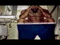 1 hour of memes for when i destroy the toilet
