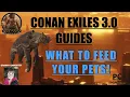 What to feed pets Conan Exiles 3 0 Guide
