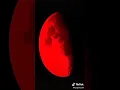 Download Lagu Nanti mala gerhana bulan warna merah siap siap jadi serigala  canda serigala